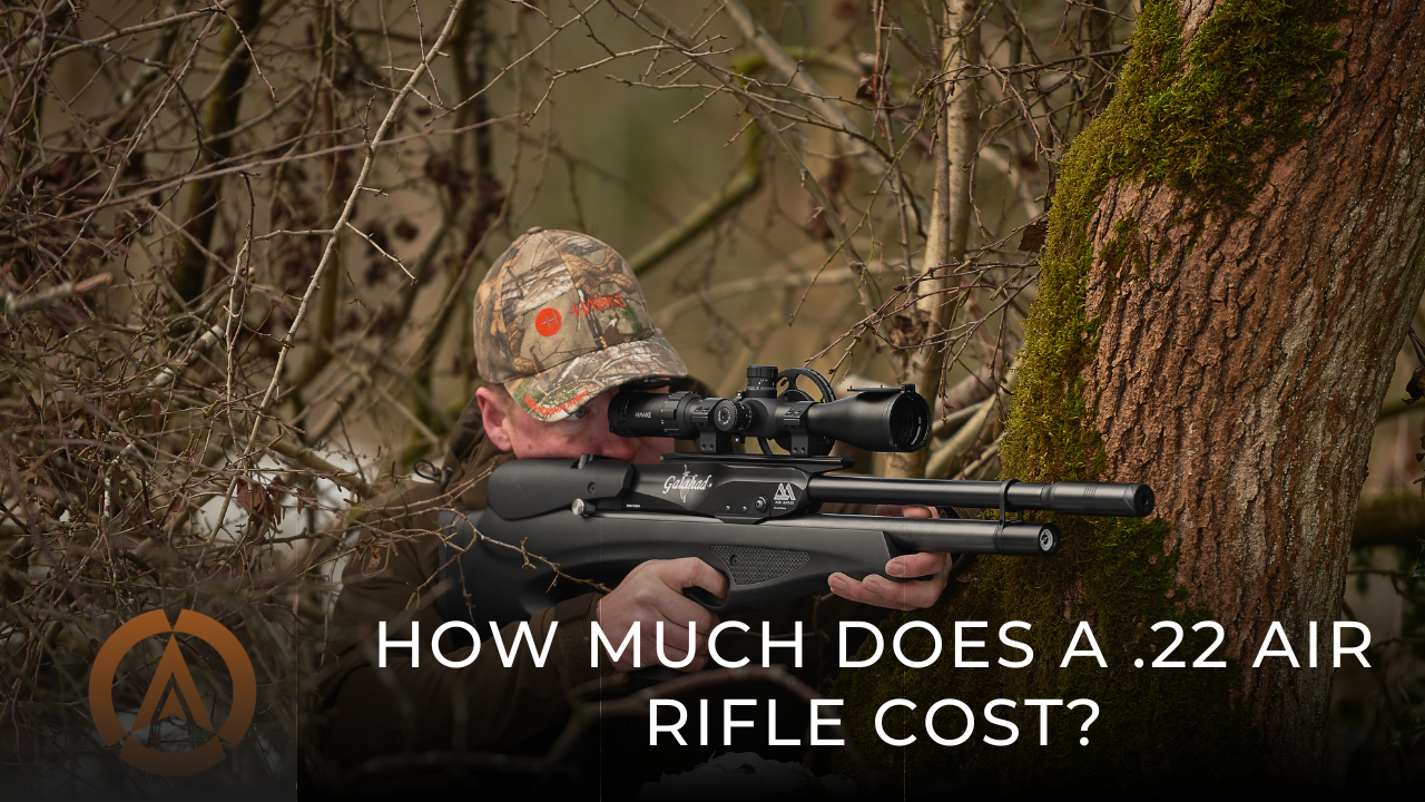 Which is the Best Air Rifle?